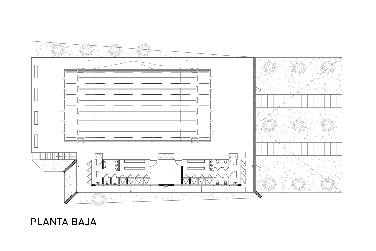 ARQUITECTONICO–ALBERCA-SEMIOLIMPICA-Model